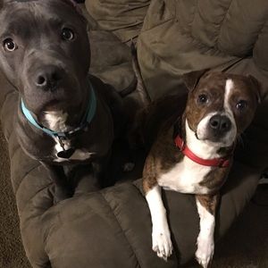 Meet your Posher, Jayce